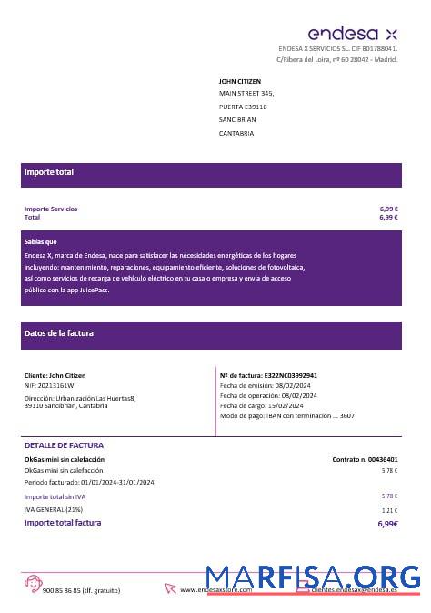 Blank Spain Barcelona endesa X electricity utility bill Word and PDF formats sample